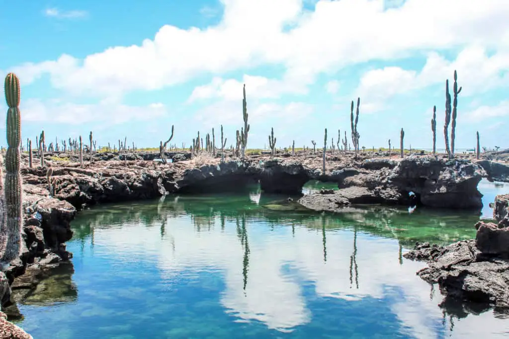 Los Tuneles Galapagos