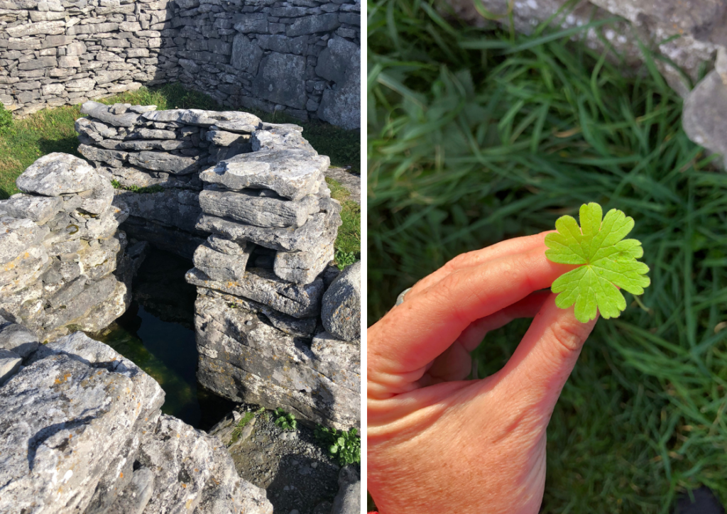 st. enda's well