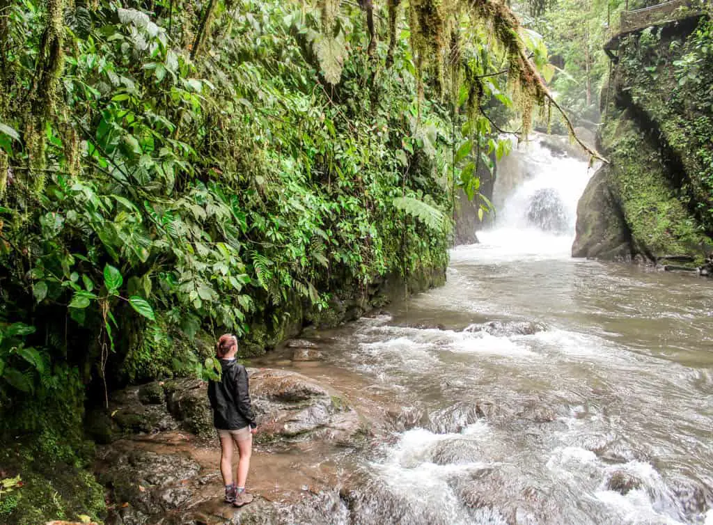 A waterfall in Mindo Cloud Forest