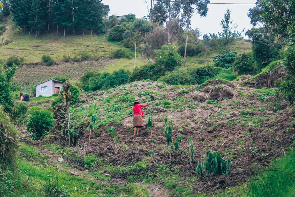 A local woman tending to the farm