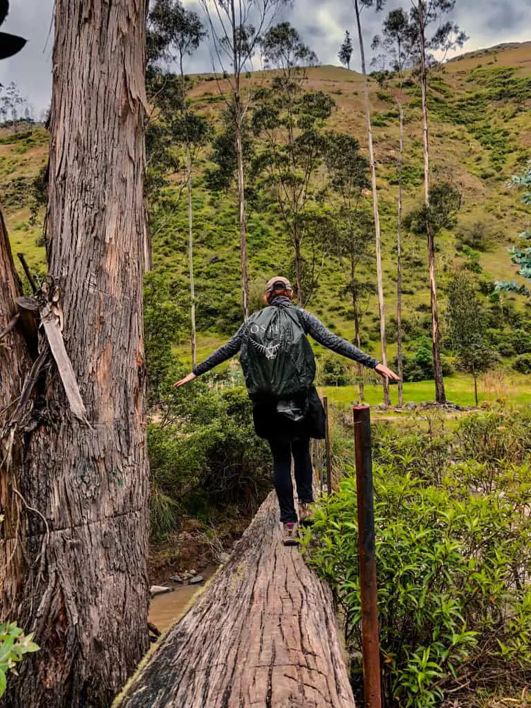 Use the tree stump bridge. Also pictured my huge rain cover for my tiny backpack