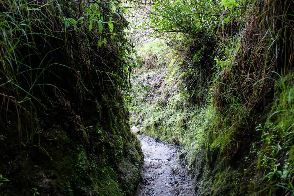 Part of the path on the way down to the river