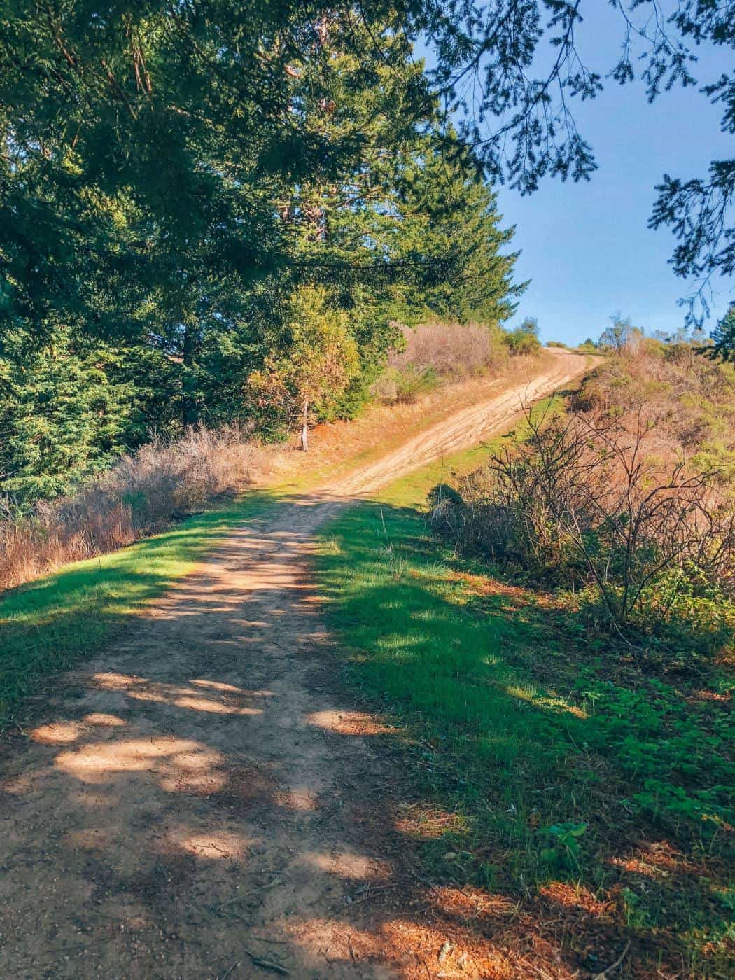 A hilly path on the trail