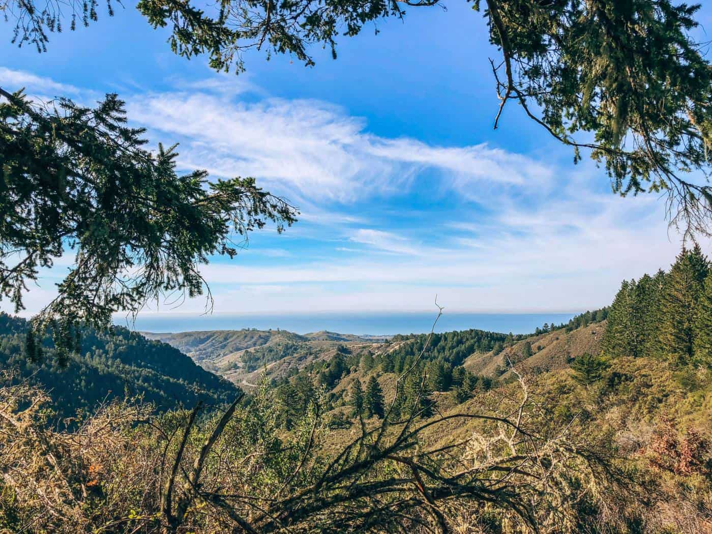 View of Pacific from the top