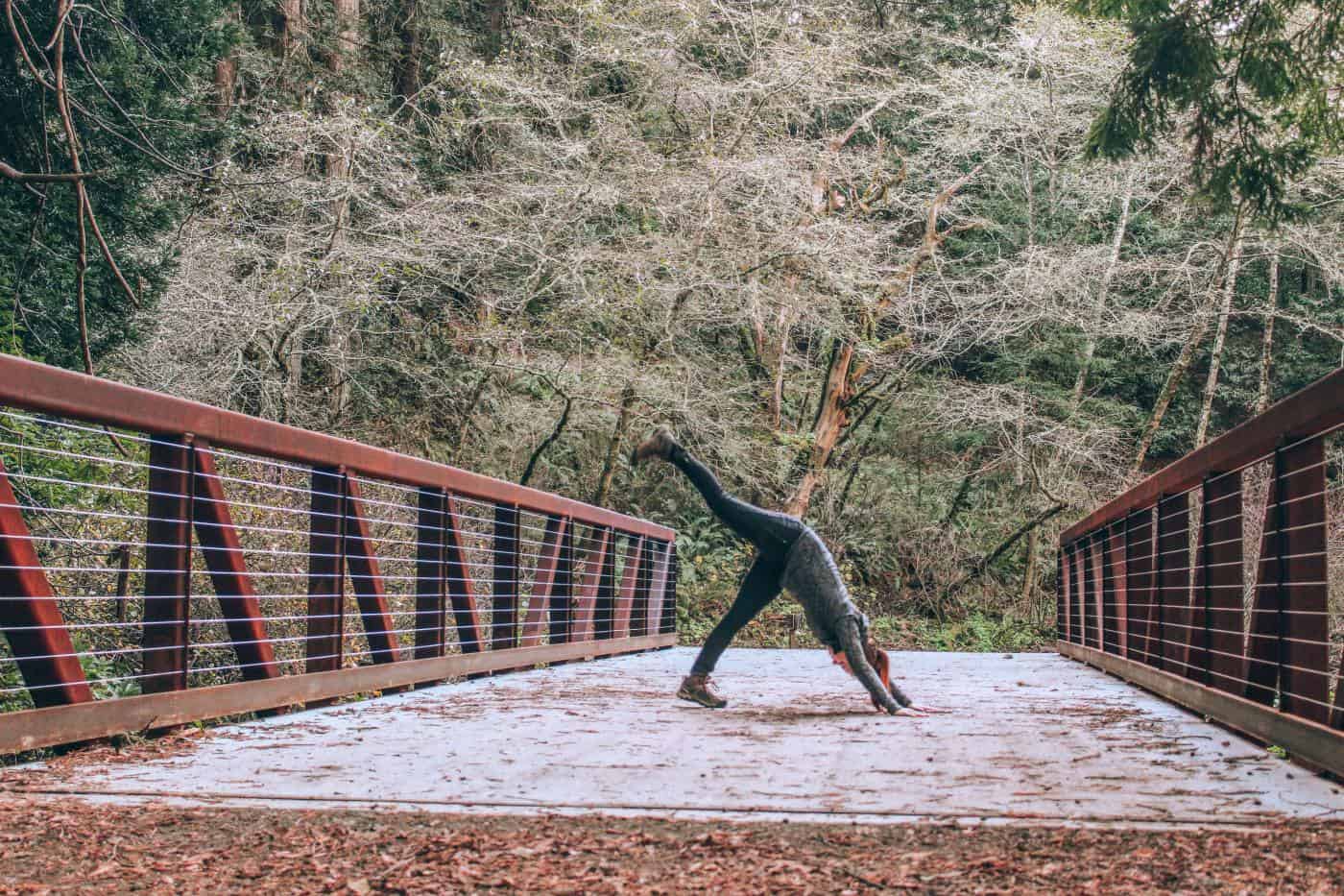 Single Leg Downdog on the Bridge