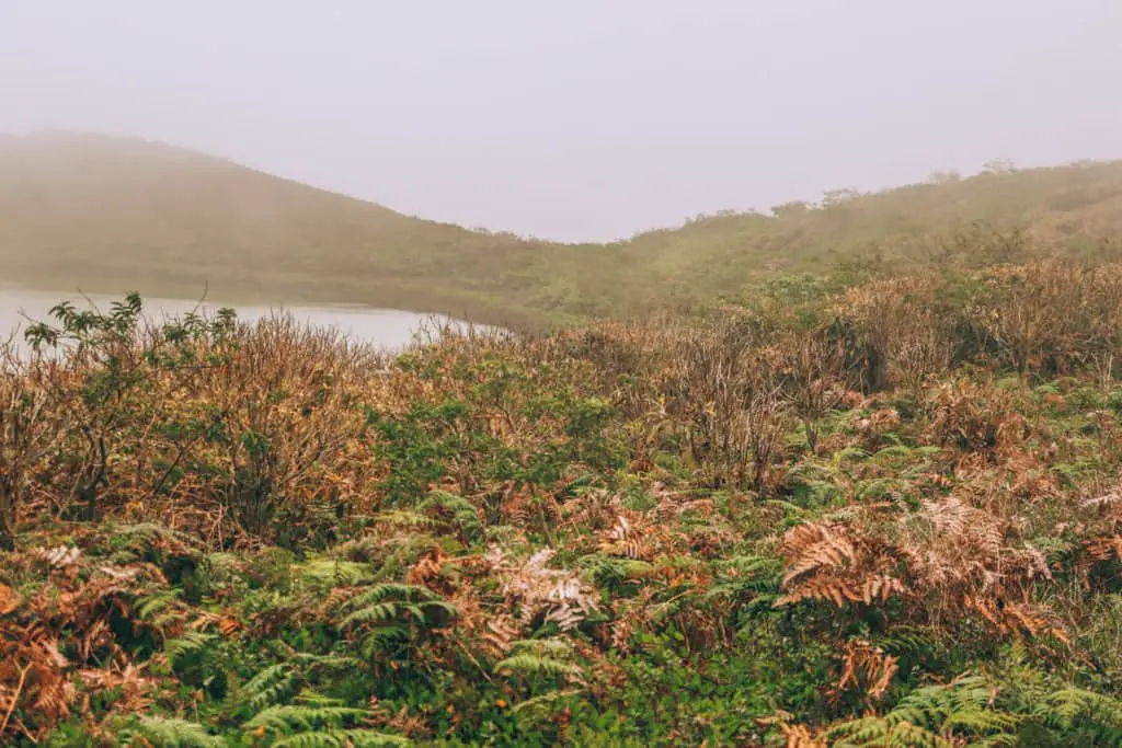 Laguna El Junco on San Cristobal Galapagos Islands