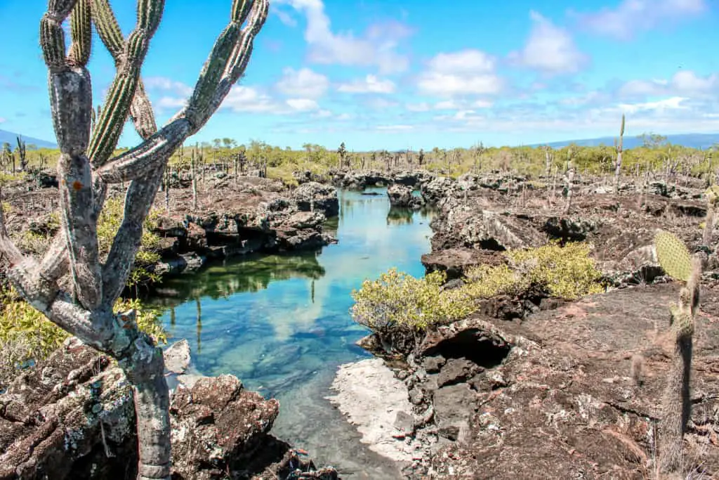 Los Tuneles Isla Isabela Galapagos