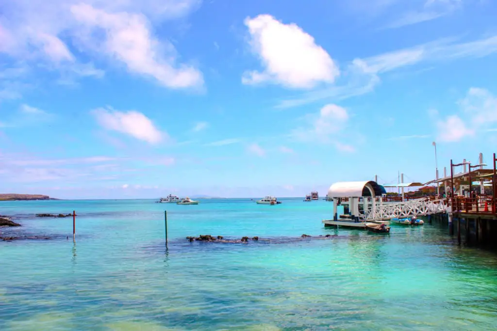 Puerto Ayora port where you can find water taxis and ferries