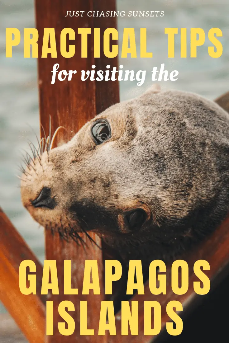 practical tips for planning a trip to the Galapagos islands
