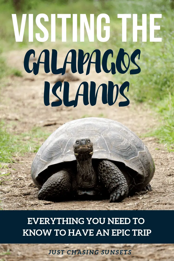 Top tips for your trip to the Galapagos islands