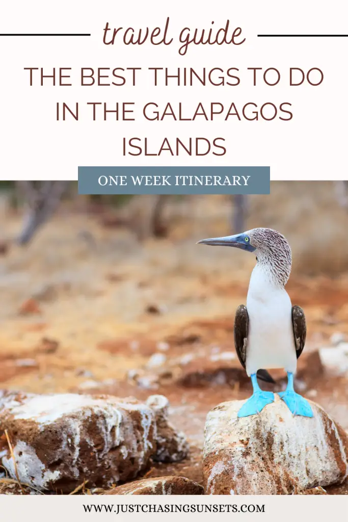 How to Visit the Galapagos Islands on a Budget