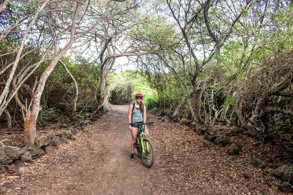 Get some activity and explore the Galapagos on a budget with a bike ride on Isla Isabela