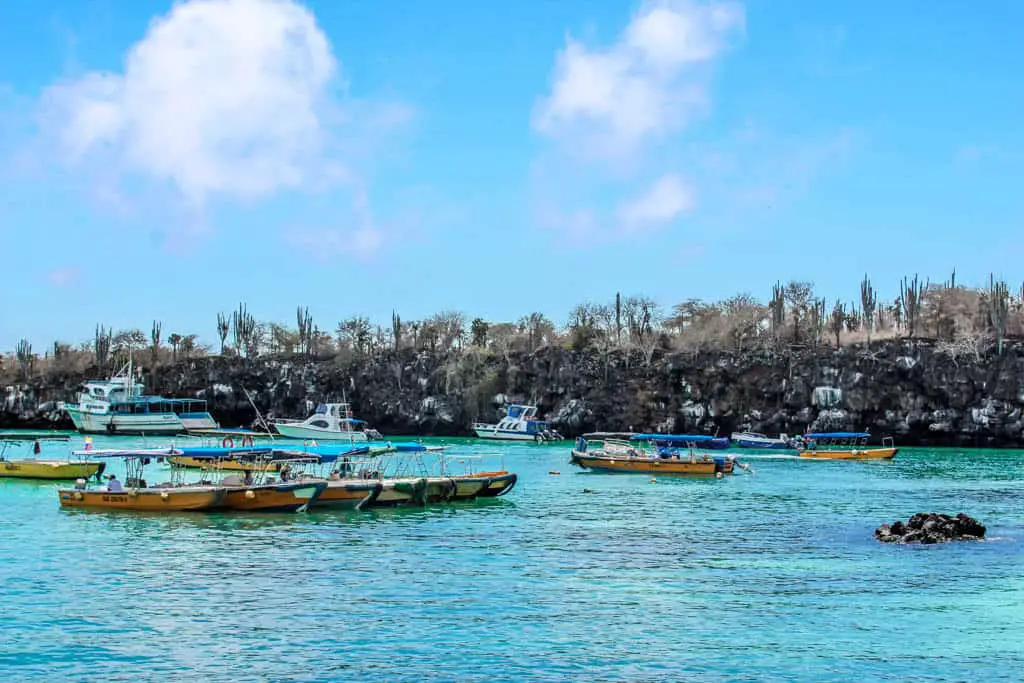 Water Taxis