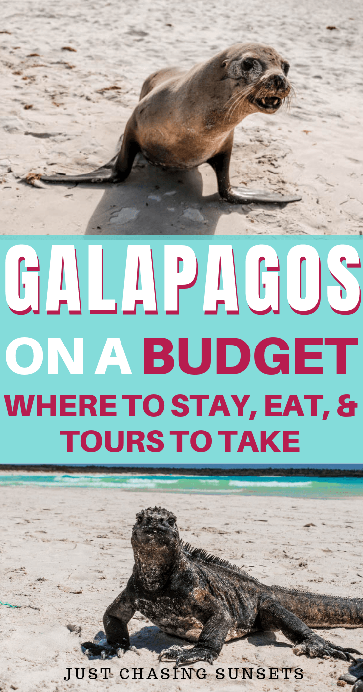 Galapagos on a Budget