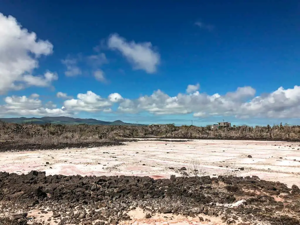 Salt Flats on the Galapagos Islands