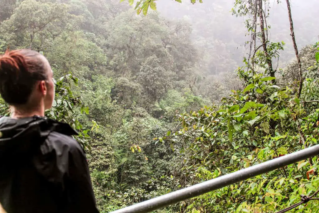 Mindo cloud forest, Ecuador