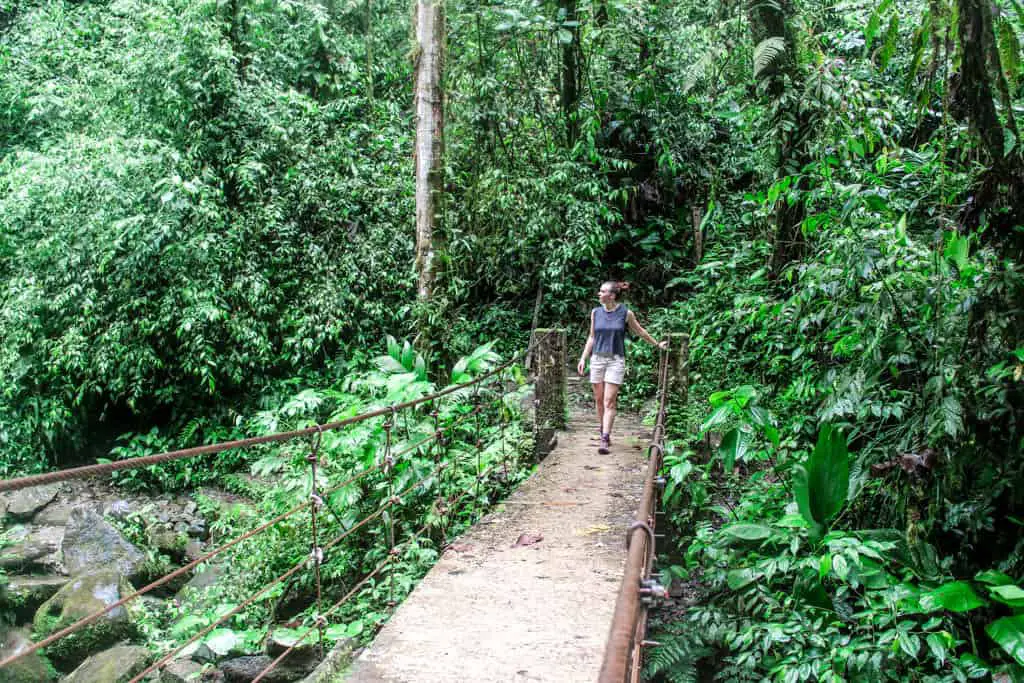 Mindo cloud forest