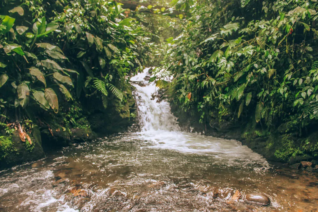 Mindo Waterfall