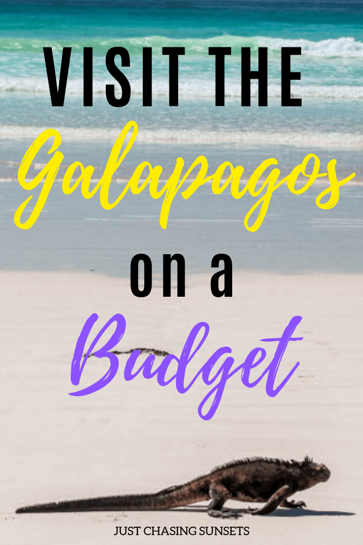 visit the Galapagos on a Budget