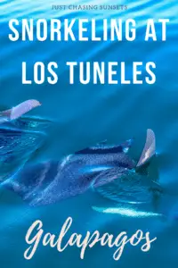 Los Tuneles Galapagos