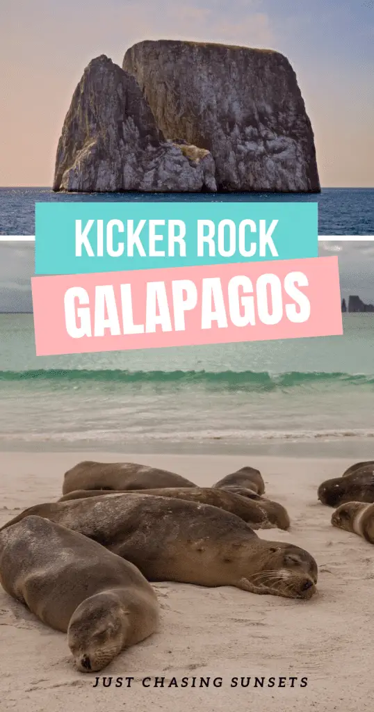 Snorkeling with Hammerheads at Kicker Rock on the Galapagos Islands ...