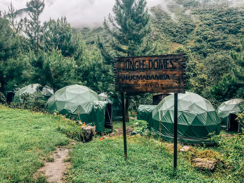 Jungle Domes