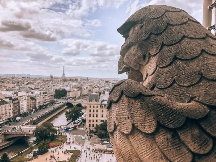 Gargoyle keeping a watchful eye from Notre Dame