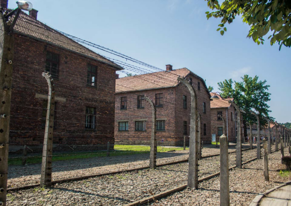 rows of barracks at auschwitz