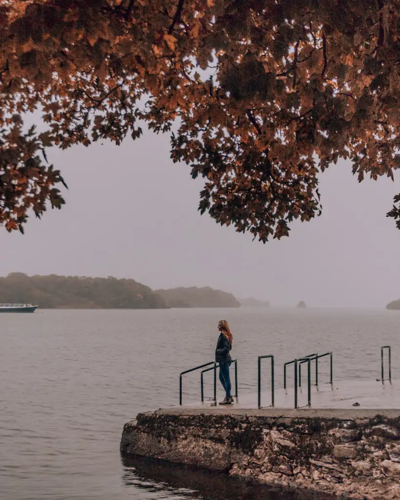 Rainy day in Killarney National Park.