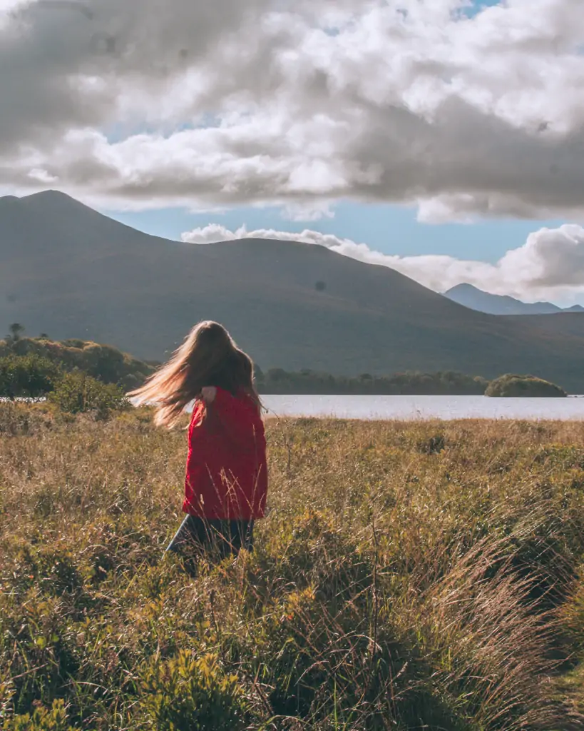 In the fields of Killarney National Park.