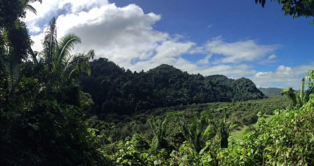 Beautiful Belize. Photo c/o Martha.