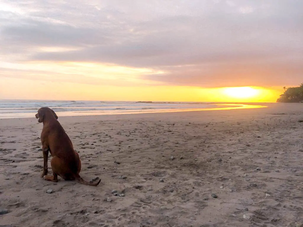 Santa Teresa, Costa Rica Sunset