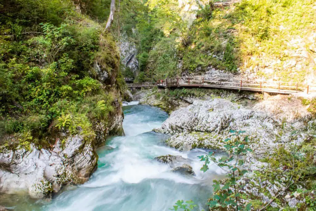 The water flowing in Vintgar Gorge