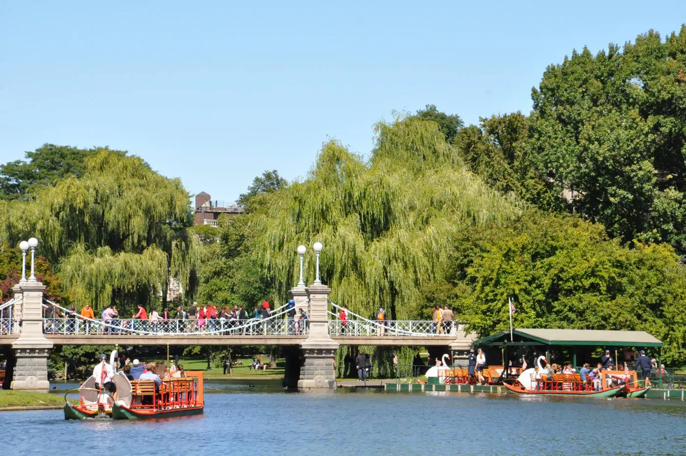 One day in Boston includes a visit to Boston Public Gardens