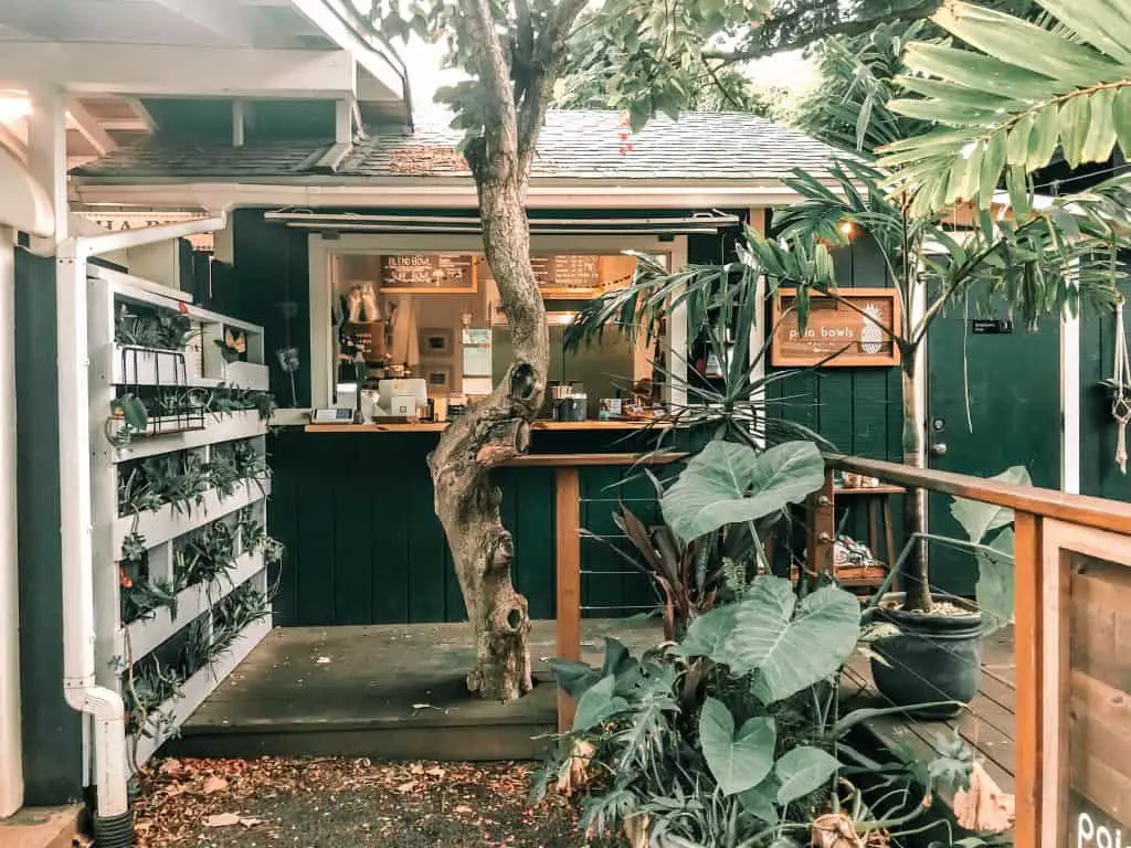 Paia Bowls storefront in Paia, Maui. Green storefront in Paia, Maui with lush tropical plants.