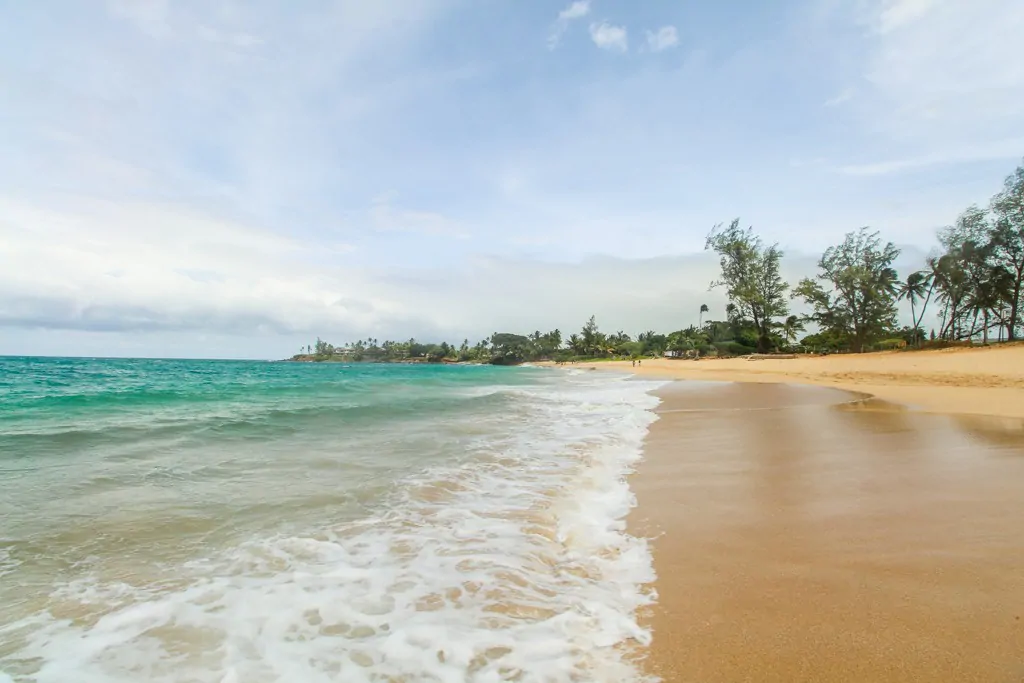 Beautiful beach in Paia Bay, Maui. Large white sand beach with crashing waves and palm trees in the distance.