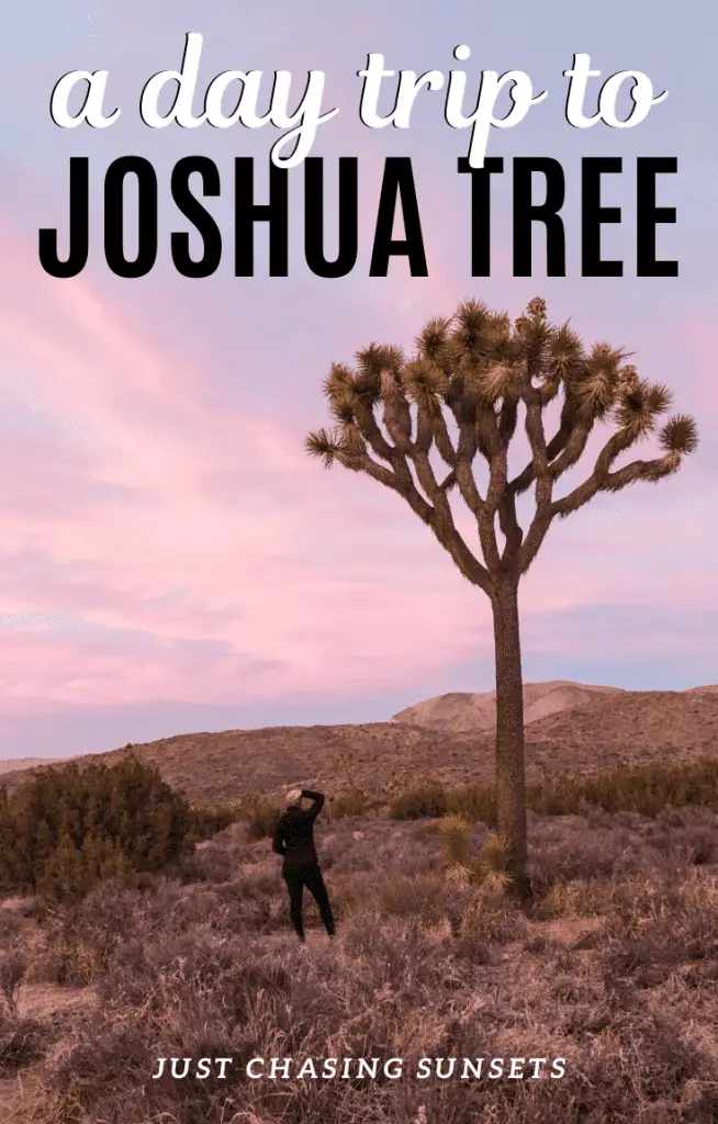 A day trip to Joshua Tree