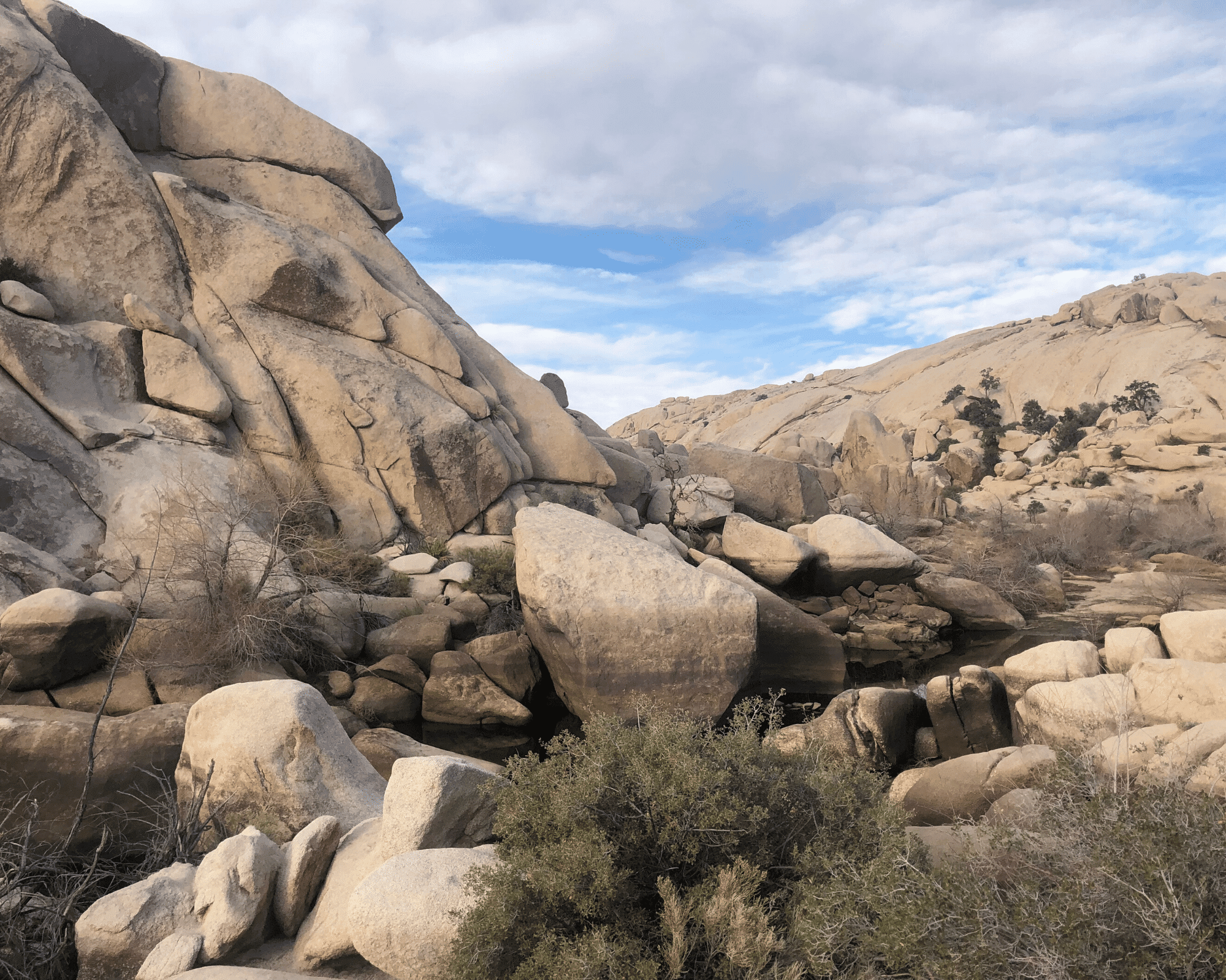 Barker Dam Joshua Tree National Park