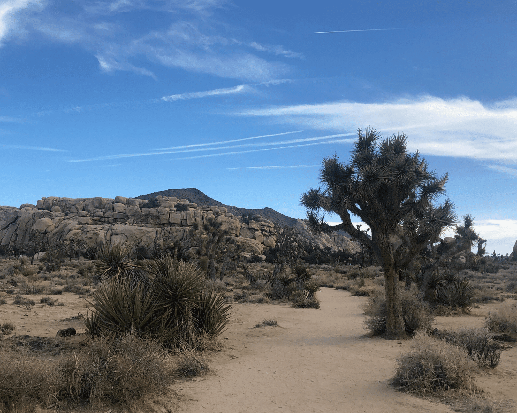 Barker Dam Nature Trail Joshua Tree National Park