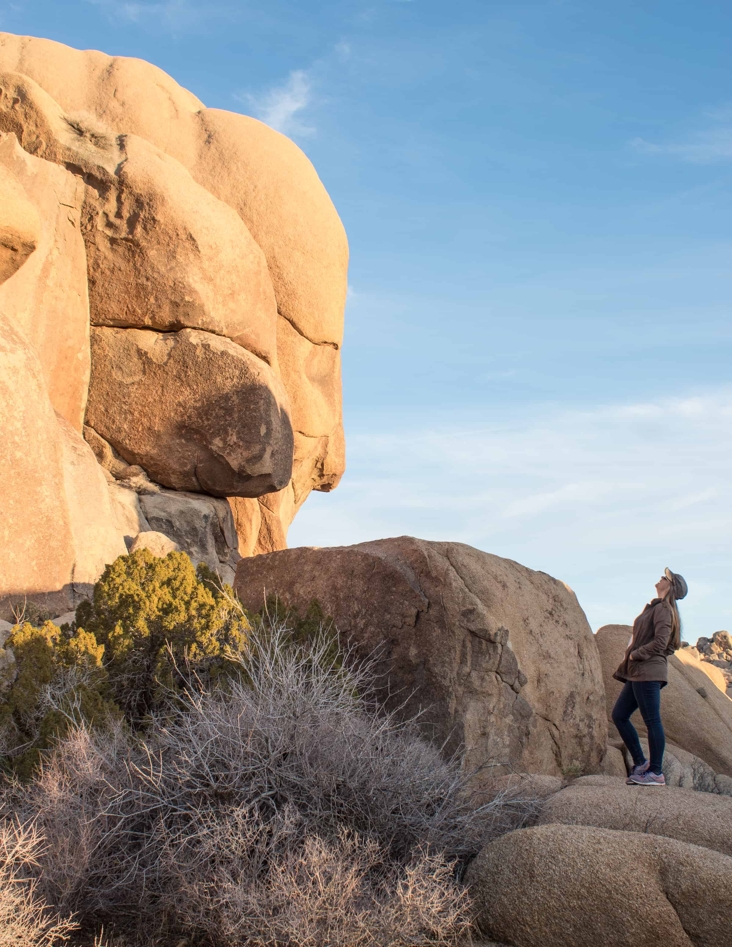 Face Rock in Joshua Tree National Park