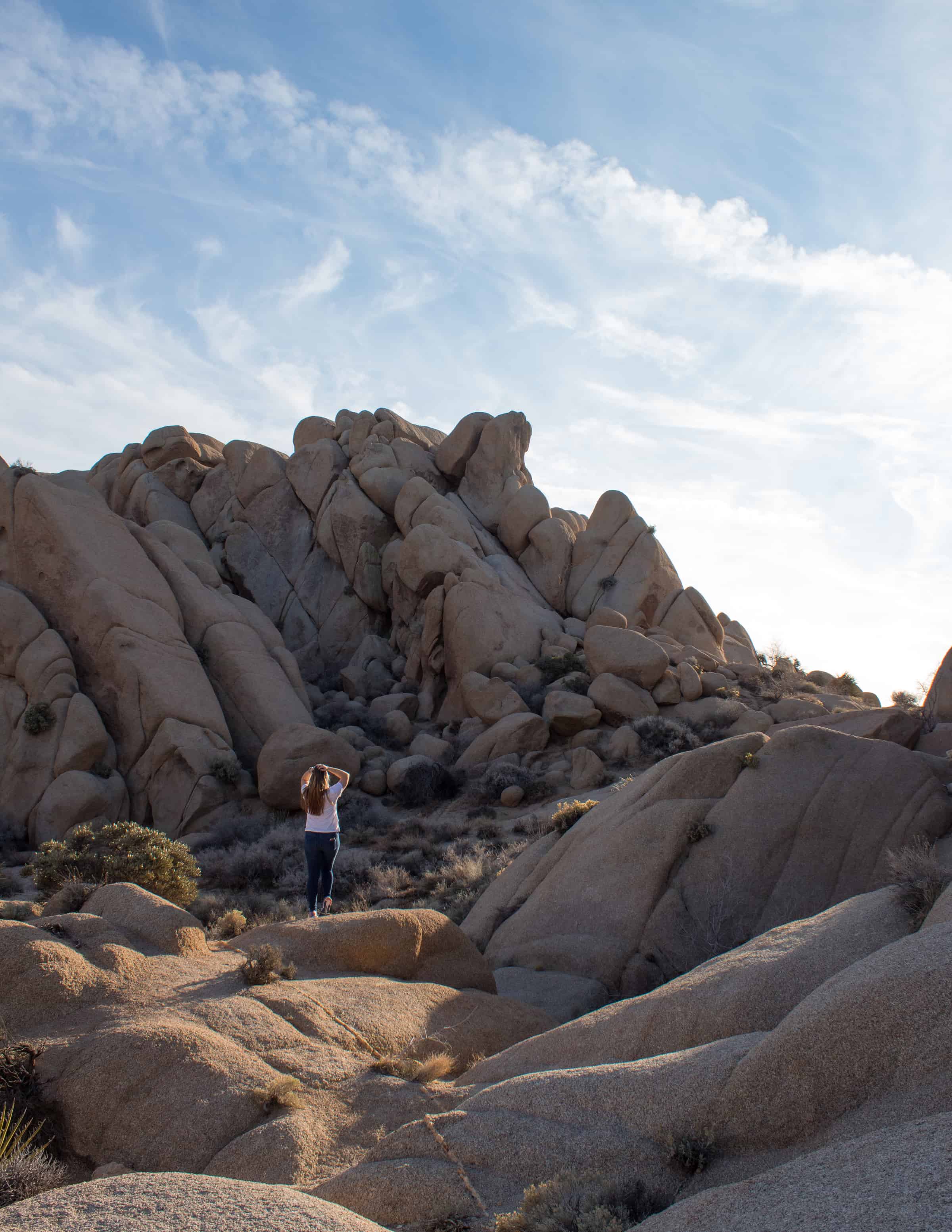 Jumbo Rocks Joshua Tree National Park