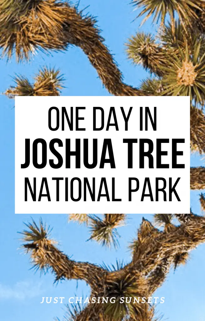 One day in Joshua Tree National Park