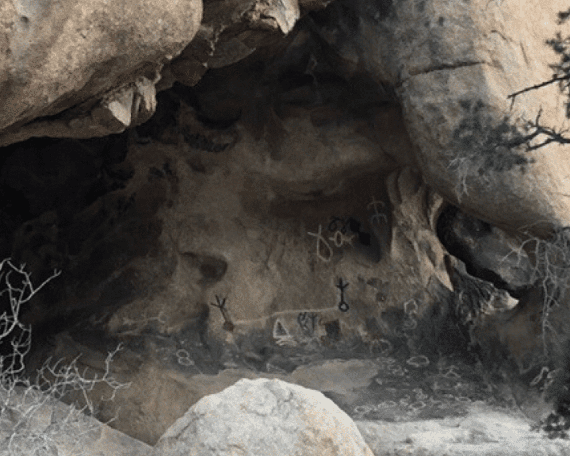 Petroglyphs on Barker Dam Trail