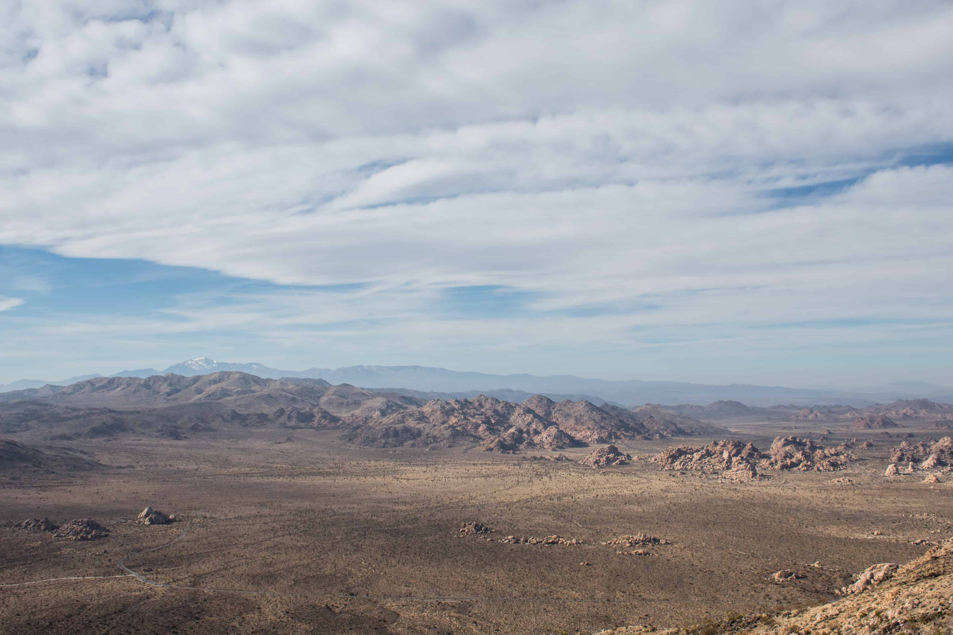 Ryan Mountain Trail Joshua Tree NP