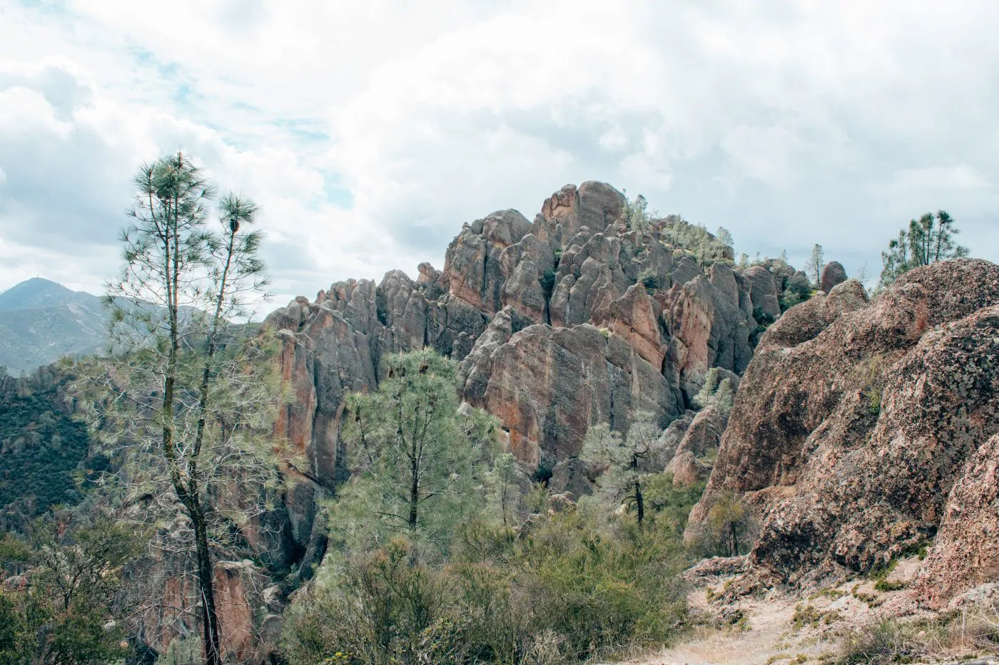 Condor Gulch Trail in Pinnacles National Park