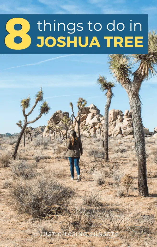 8 things to do in Joshua Tree