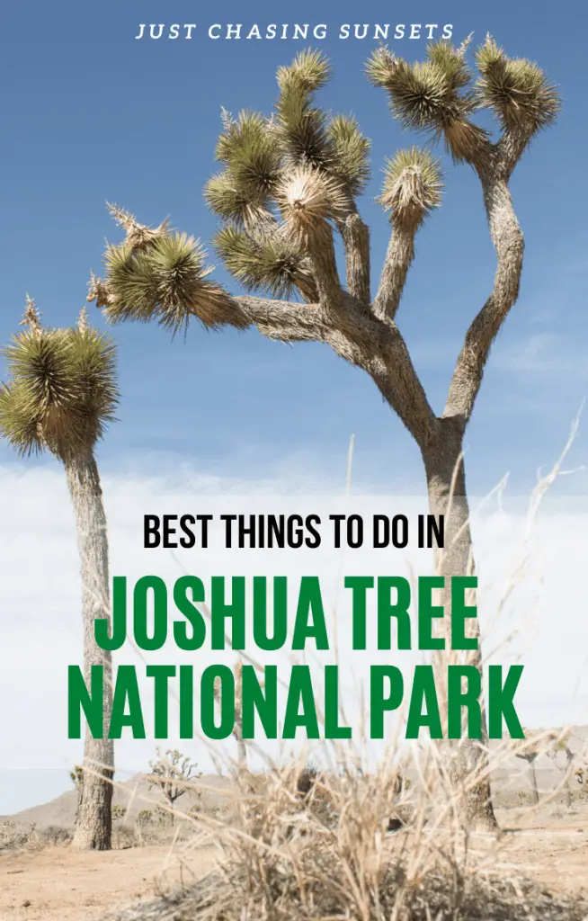 Best things to do in Joshua Tree
