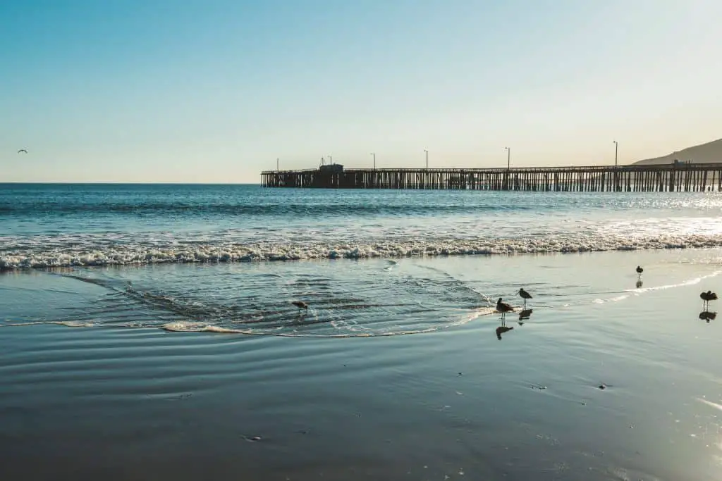 Avila Beach Pier at sunset in Avila Beach