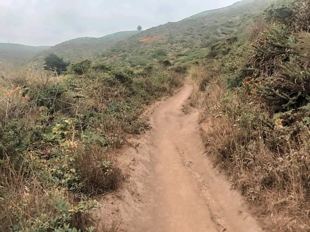 Start of the Gray Whale Cove Trail in Half Moon Bay, CA