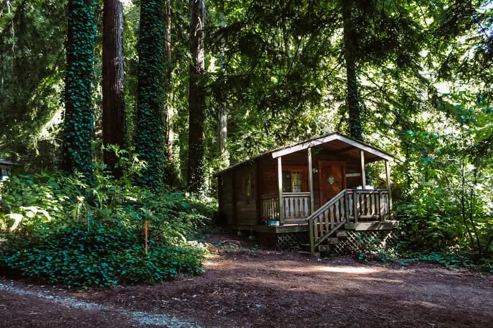 Cute cabin in the woods in Butano State Park near Pescadero, CA